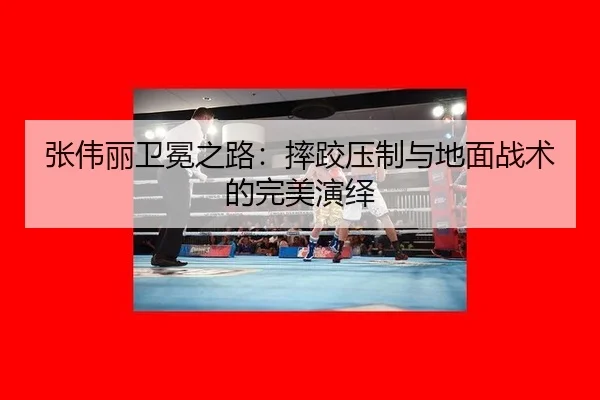 zhang-wei-li-wei-mian-zhi-lu-shuai-jiao-ya-zhi-yu-di-mian-zhan-shu-de-wan-mei-yan-yi-3-200.jpg